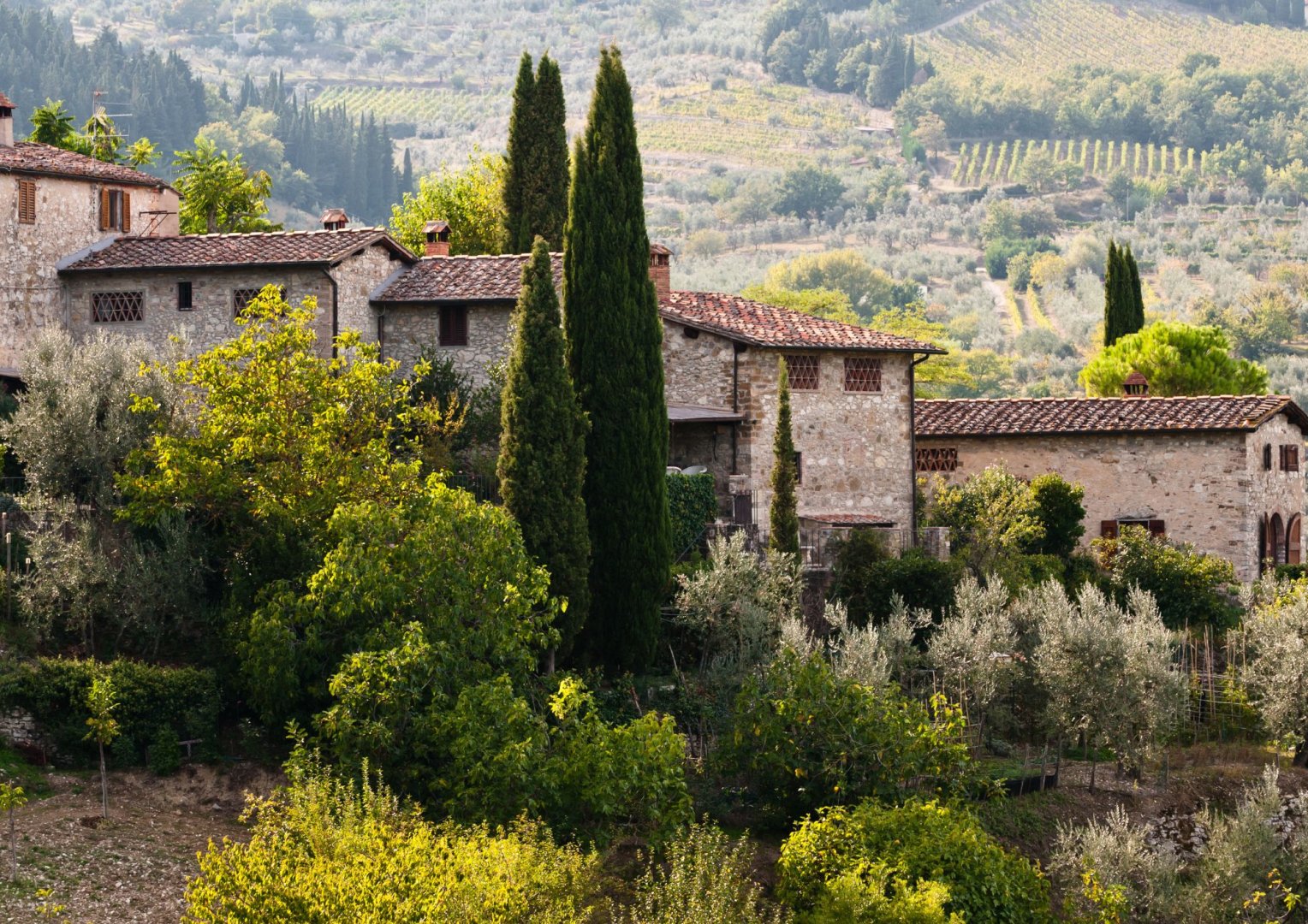 Foto 7 Un banchetto rinascimentale tra arte, cultura e sapori divini (Firenze e Chianti)