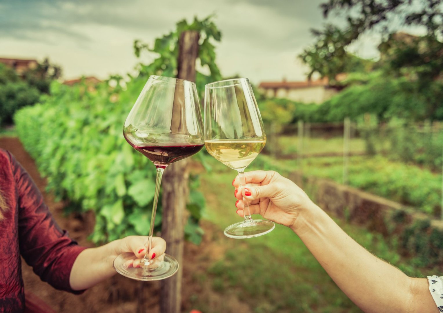 Foto 8 Un banchetto rinascimentale tra arte, cultura e sapori divini (Firenze e Chianti)