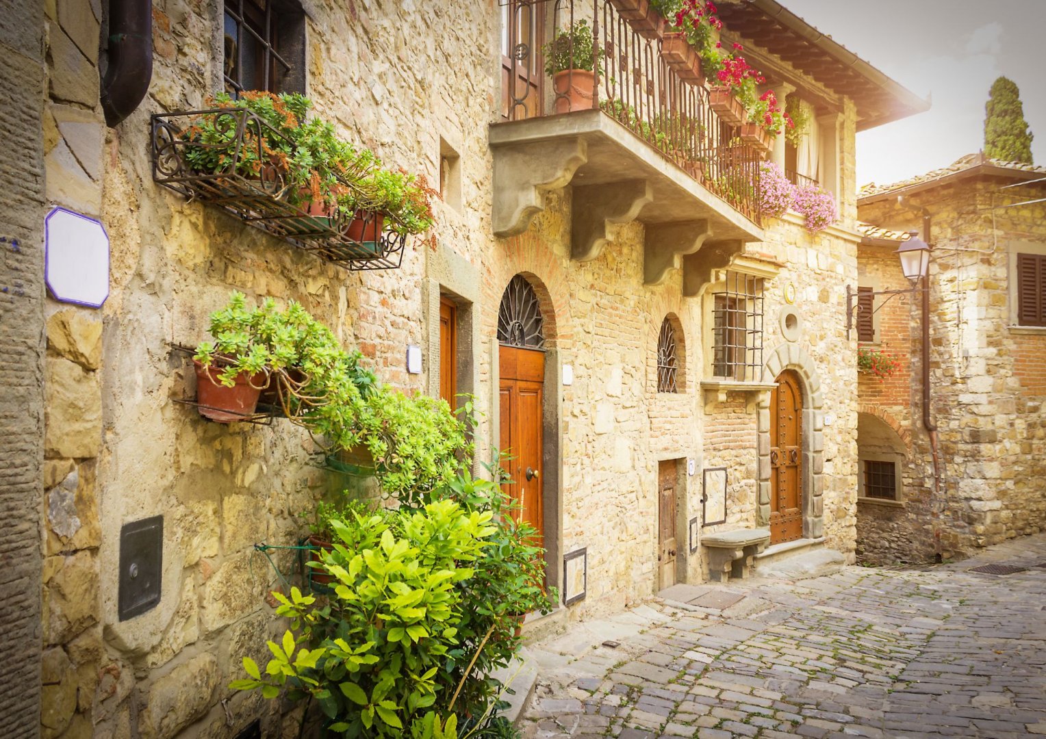 Foto 9 Un banchetto rinascimentale tra arte, cultura e sapori divini (Firenze e Chianti)