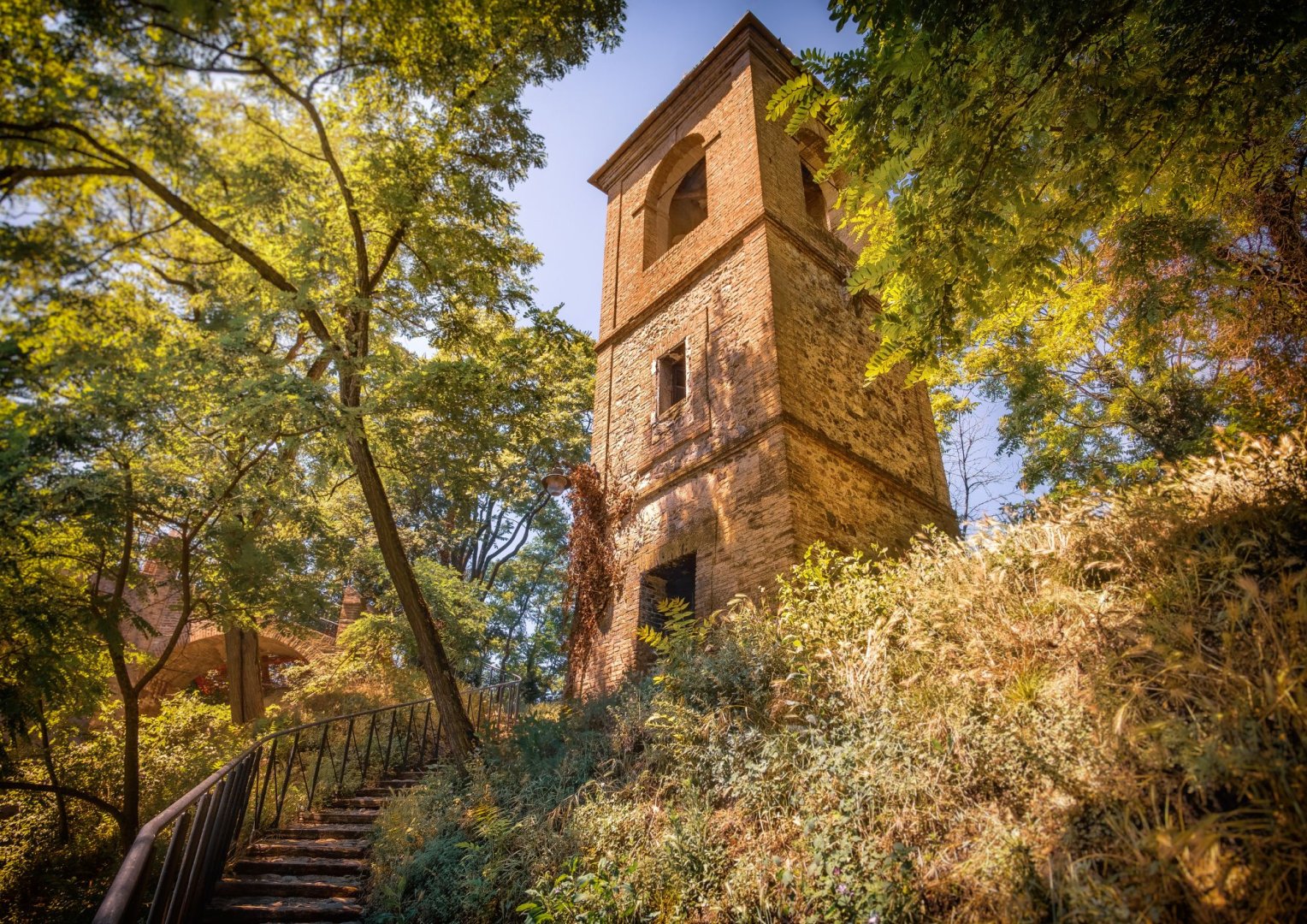 Foto 7 Un viaggio paradisiaco tra tortellini, torri e dolci colline