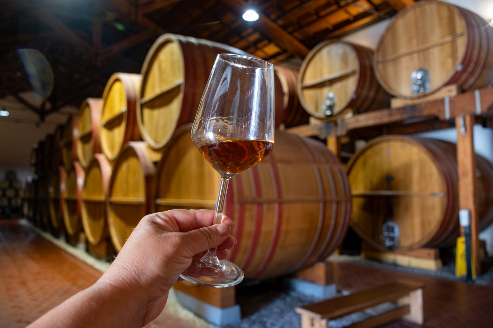 Foto 24 Tour Sicilia Magica 2026 Orientale