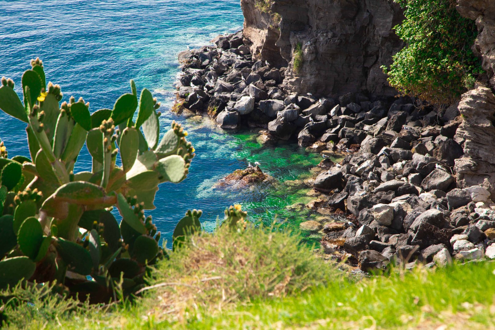 Foto 4 Vacanze Combinate: Vulcano e Lipari Foto 4 Vacanze Combinate: Vulcano e Lipari