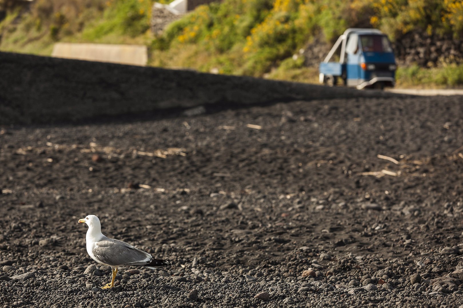 Foto 9 Trekking Tour delle Isole Eolie - mezza pensione