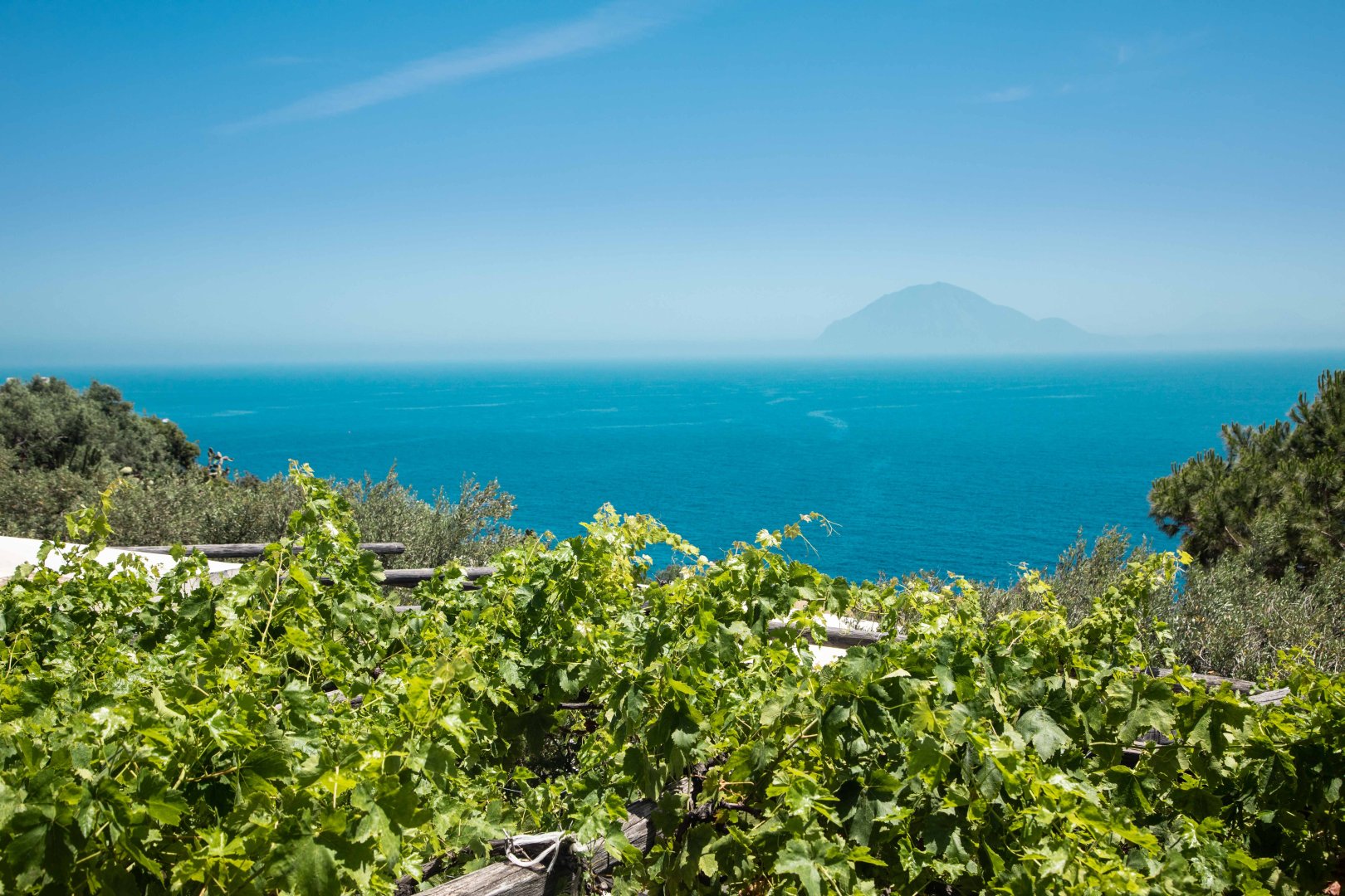 Foto 20 Trekking Tour delle Isole Eolie - mezza pensione