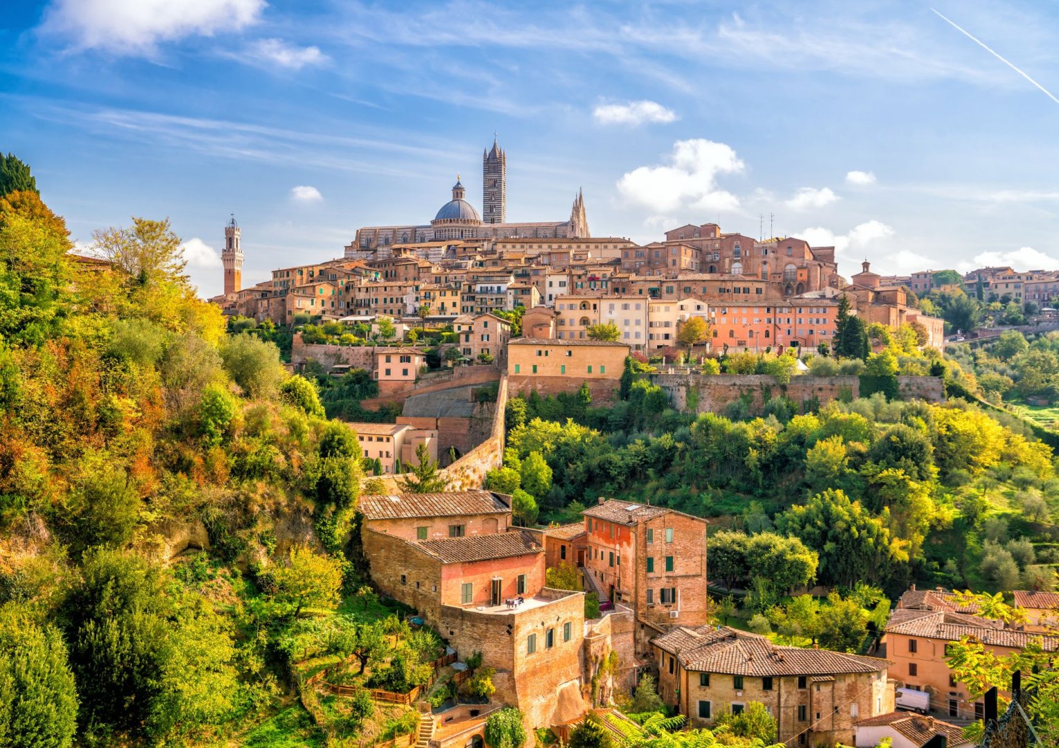 Foto 10 Avventura gastronomica tra vigneti e castelli (Firenze e Chianti)