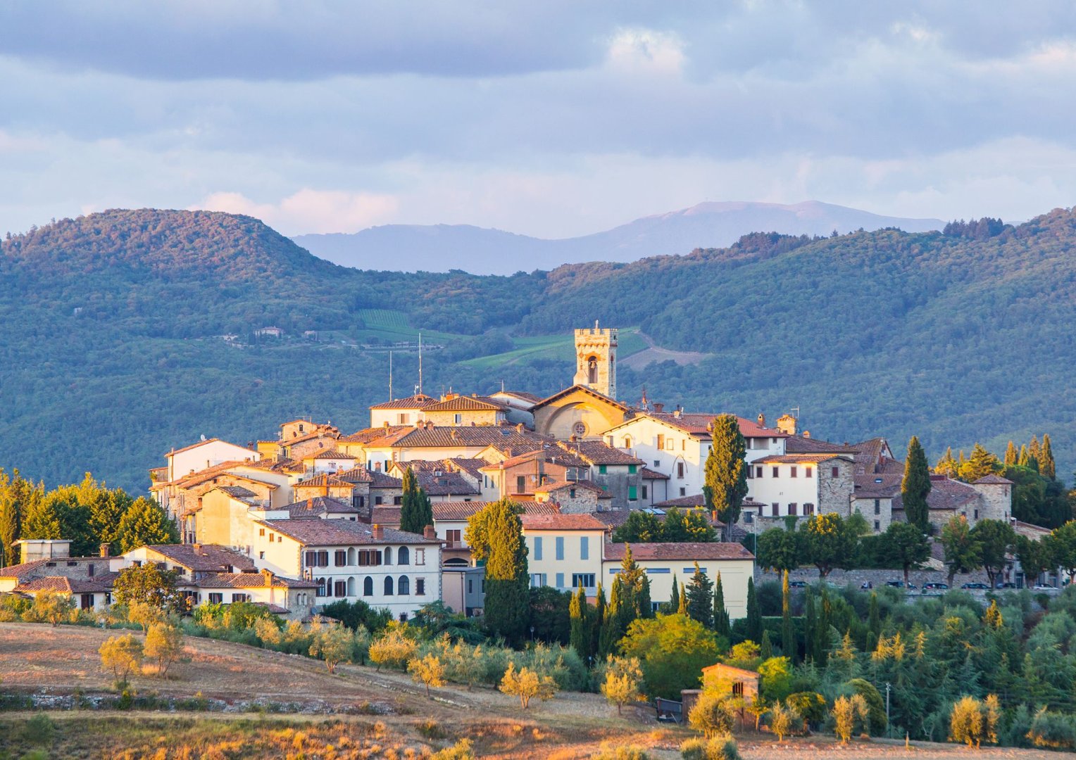 Foto 4 Avventura gastronomica tra vigneti e castelli (Firenze e Chianti)