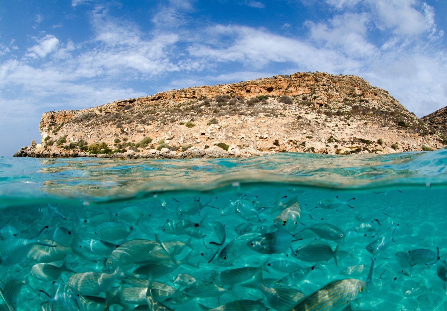 Foto 5 Vivi Lampedusa