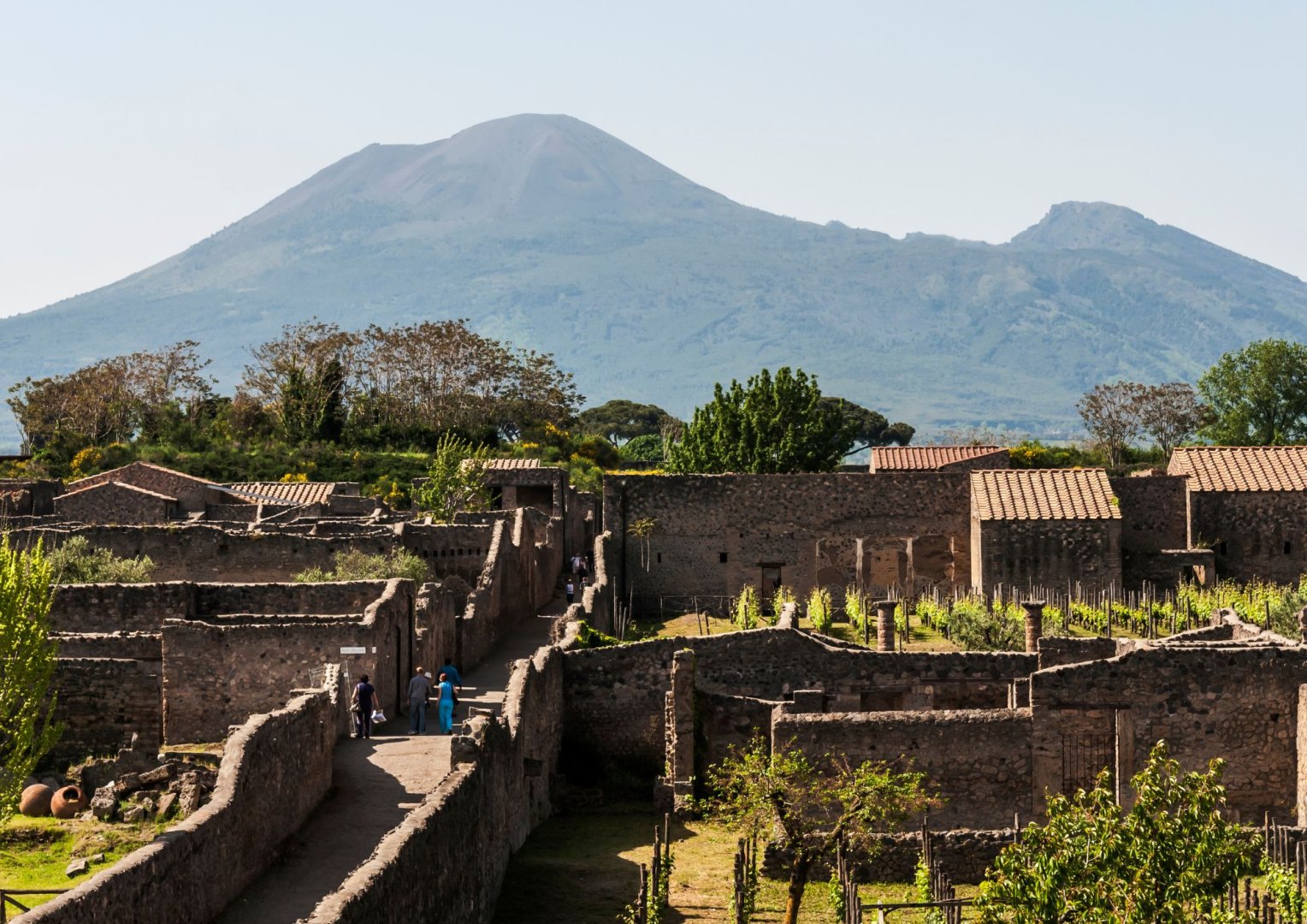 Foto 12 Tra storia, esoterismo, pizze e Lacryma Christi