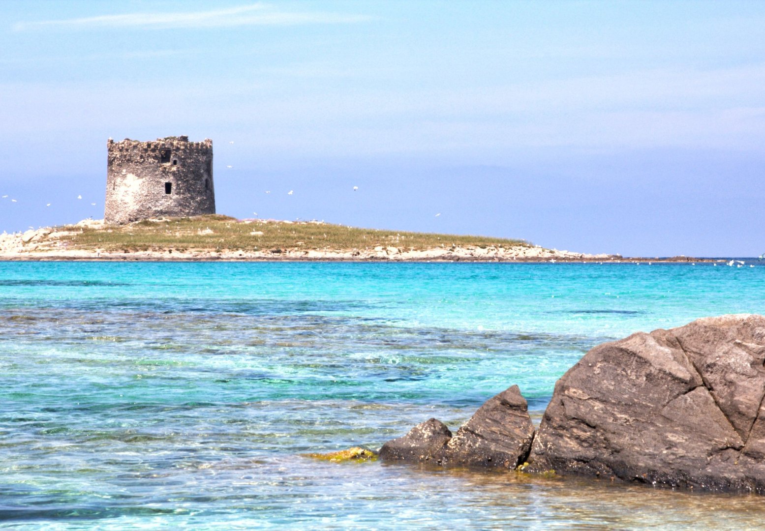 Foto 6 Scopri la Sardegna in auto: arrivo a Olbia - partenza da Cagliari
