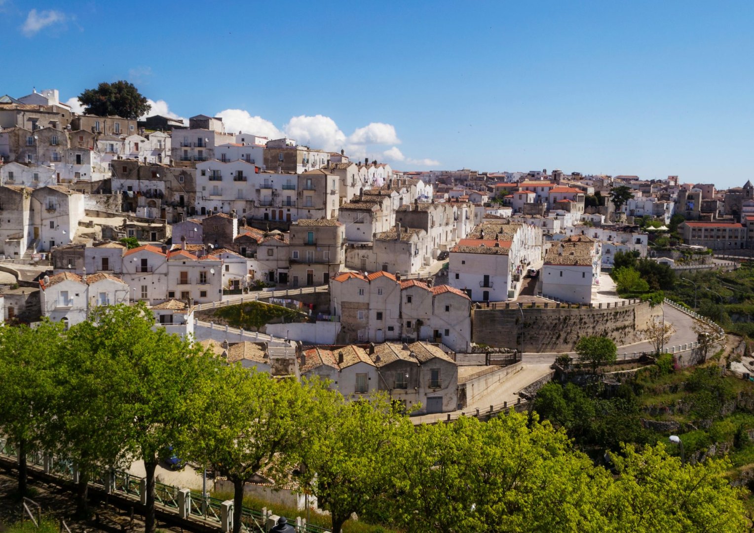 Foto 12 Meraviglie del Sud: Un viaggio nei Siti UNESCO di Puglia e Basilicata Foto 12 Meraviglie del Sud: Un viaggio nei Siti UNESCO di Puglia e Basilicata