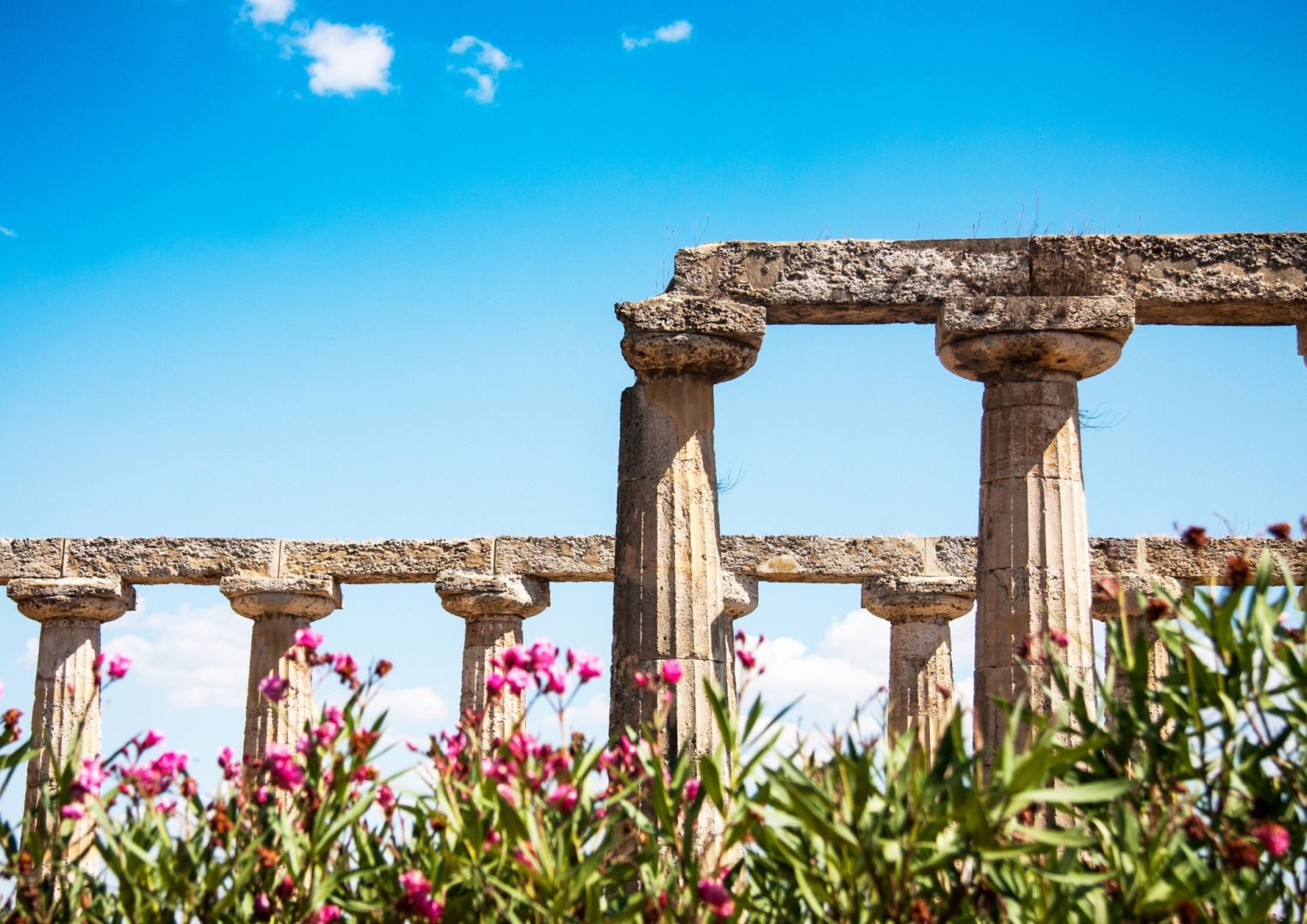 Foto 7 Meraviglie del Sud: Un viaggio nei Siti UNESCO di Puglia e Basilicata Foto 7 Meraviglie del Sud: Un viaggio nei Siti UNESCO di Puglia e Basilicata