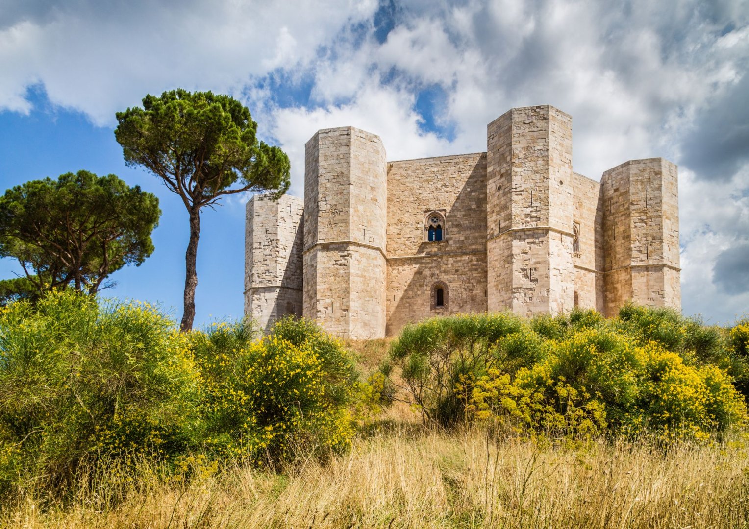Foto 8 Meraviglie del Sud: Un viaggio nei Siti UNESCO di Puglia e Basilicata Foto 8 Meraviglie del Sud: Un viaggio nei Siti UNESCO di Puglia e Basilicata