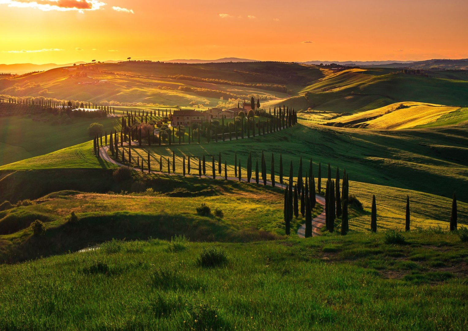 Foto 4 Pecorino e Vini Toscani (Pienza, Montepulciano, Montalcino e Firenze)