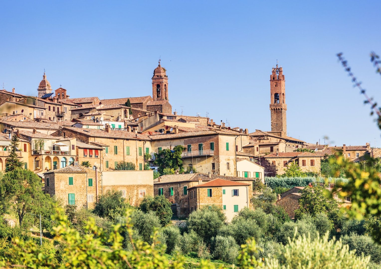 Foto 6 Pecorino e Vini Toscani (Pienza, Montepulciano, Montalcino e Firenze)
