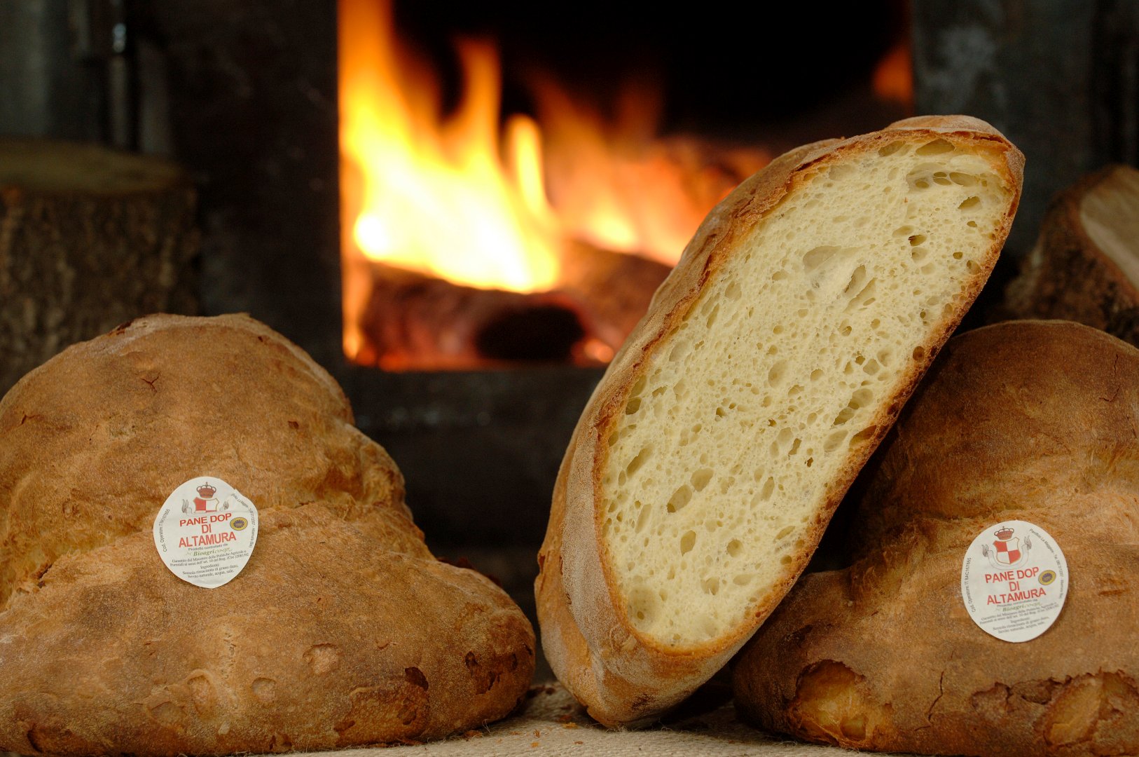 Foto 10 Gran Tour Puglia e Matera 2026