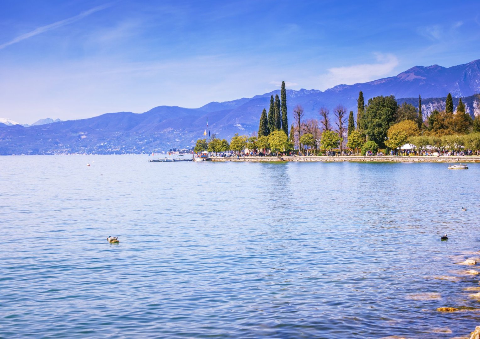 Foto 3 Un bicchiere di vino con Romeo e Giulietta