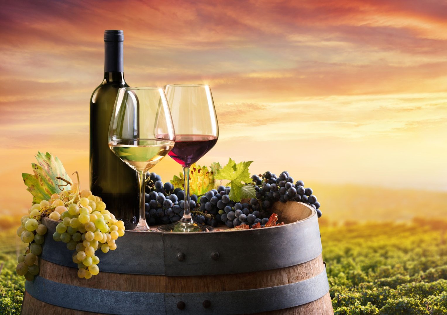 Foto 7 Un bicchiere di vino con Romeo e Giulietta