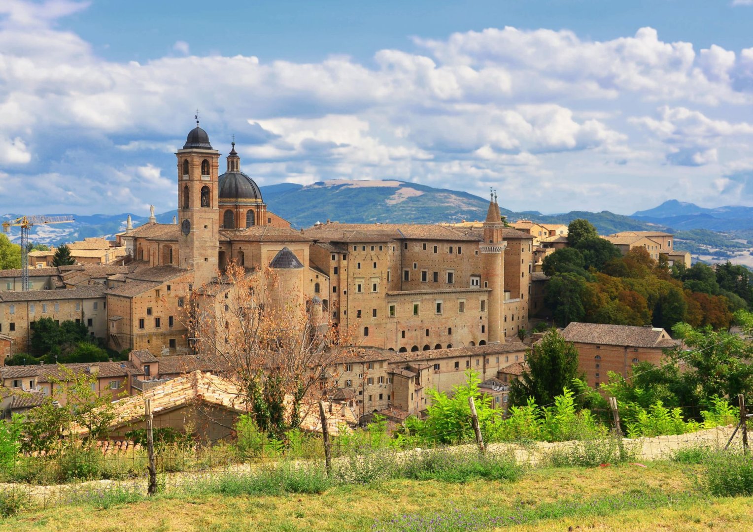 Foto 4 Scopri l'Emilia Romagna e le Marche