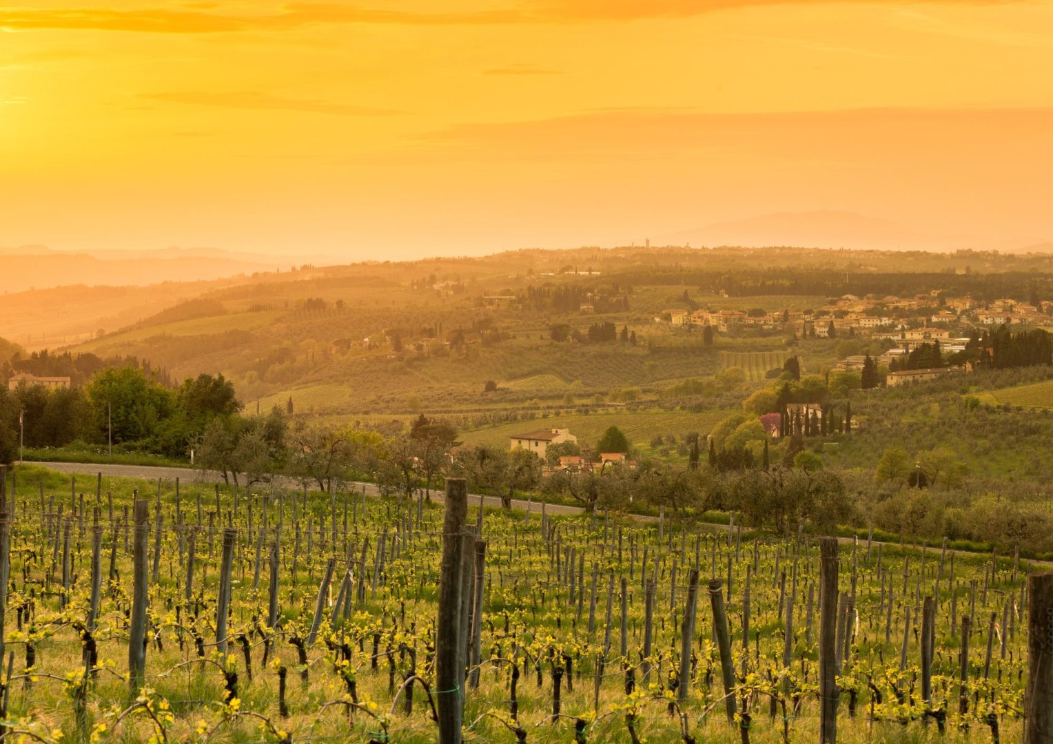 Foto 22 Scopri la Toscana e l'Umbria