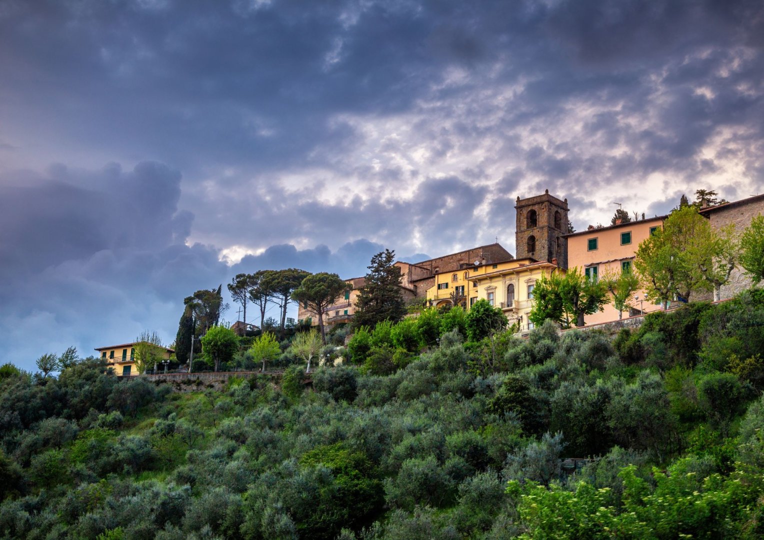 Foto 5 Scopri la Toscana