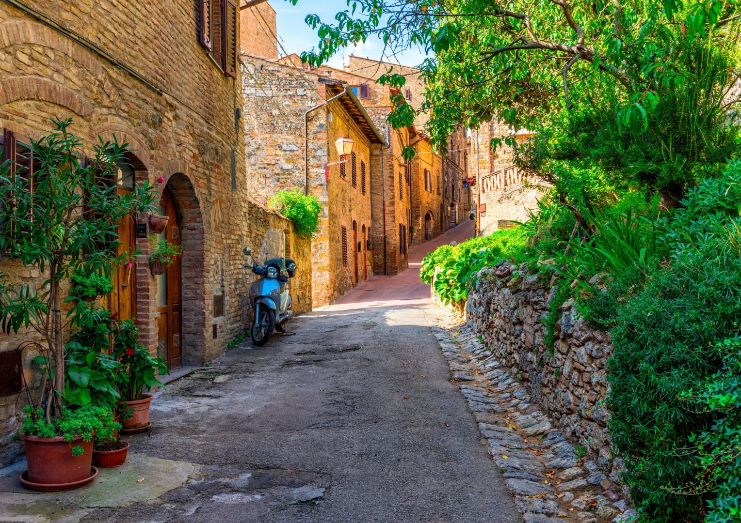 Foto 11 Scopri la Toscana