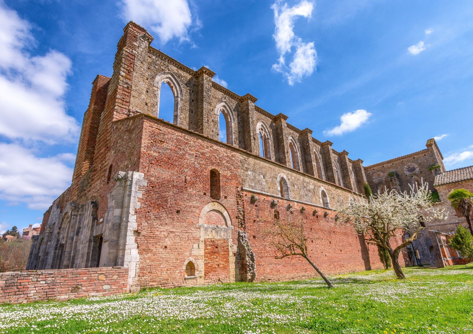 Foto 21 Scopri la Toscana