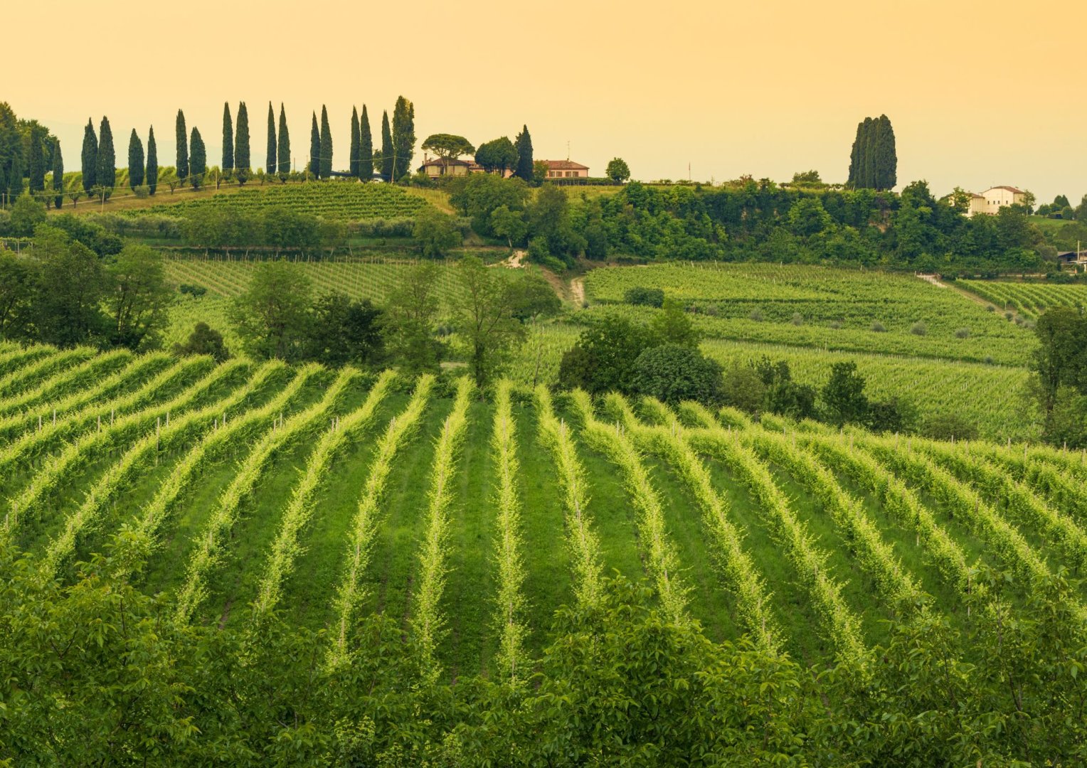 Foto 10 Uno scintillante weekend con Bollicine e Borghi