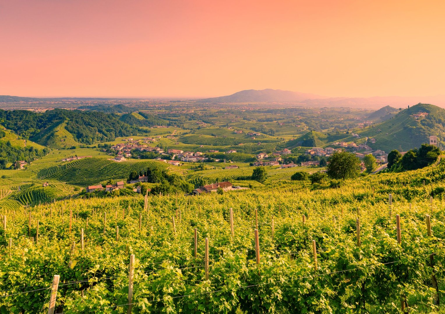 Foto 12 Uno scintillante weekend con Bollicine e Borghi