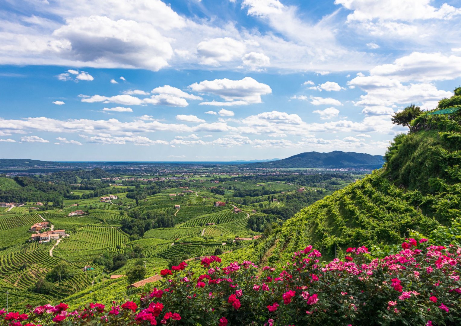 Foto 4 Uno scintillante weekend con Bollicine e Borghi