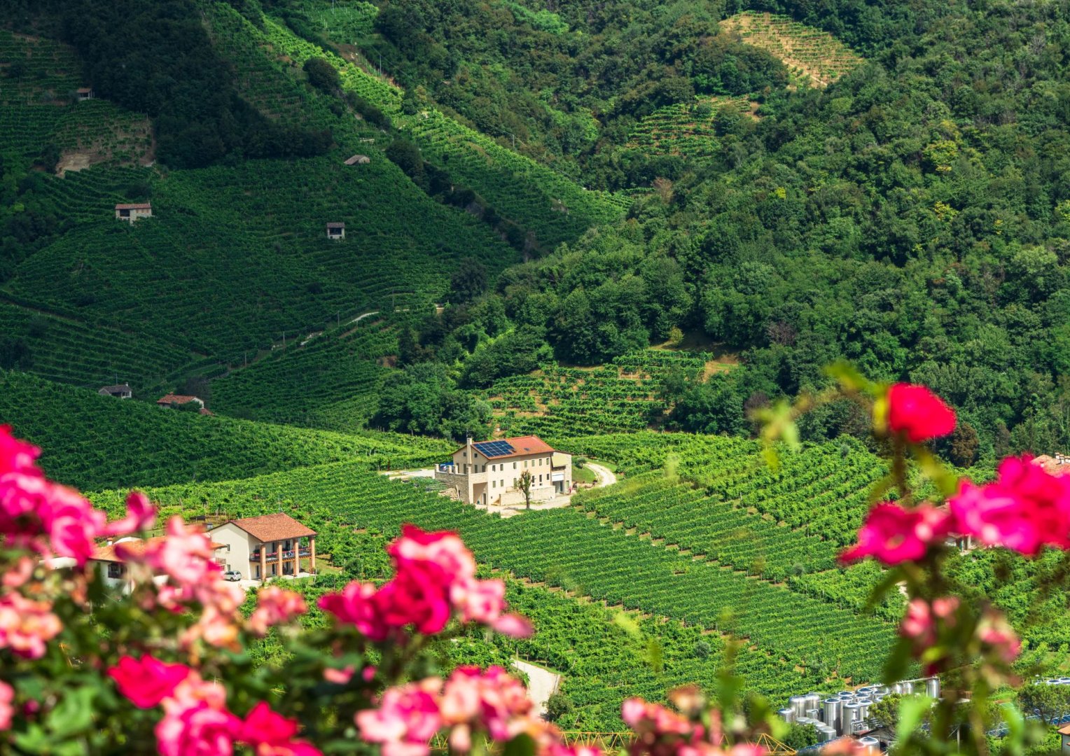 Foto 9 Uno scintillante weekend con Bollicine e Borghi